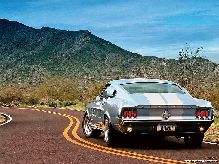 1967 Ford Mustang GT